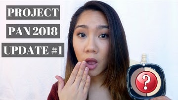 PROJECT PAN 2018 + PAN THAT PALETTE | UPDATE #1