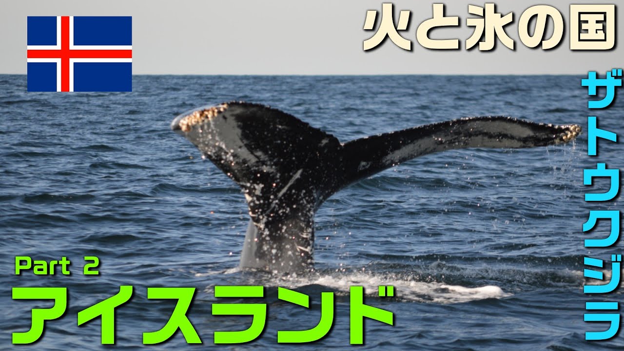 レンタカーでアイスランドの東から西へと戻りながら、大自然をめぐる旅。レイキャビックではホエールウォッチングでザトウクジラとの出会いも！“アイスランドの見どころが凝縮”されたルートを走りました。