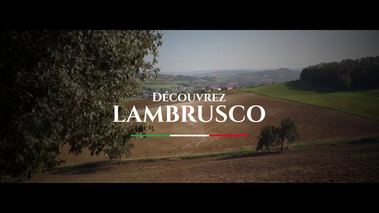 Discover Lambrusco | Découvrez Lambrusco - www.wineandtravelitaly.com