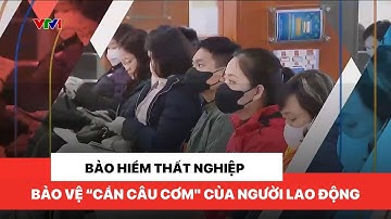 Bảo hiểm thất nghiệp, công cụ bảo vệ "cần câu cơm" của người lao động | Vấn đề hôm nay
