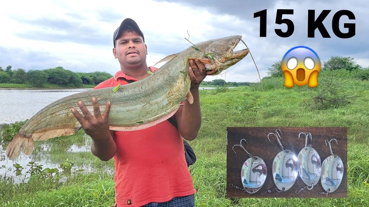 15Kg Wallago Fish Hunting On Spoon Hook Pathan Fishing Attu Fishing