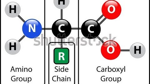 B.Sc sem-3 CC-CH-302 unit-2(A) lecture 3 synthesis of amino acid by Jyoti Khatri