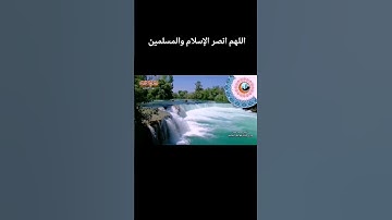 قران كريم بصوت جميل جدا ما تيسر من سورة فصلت