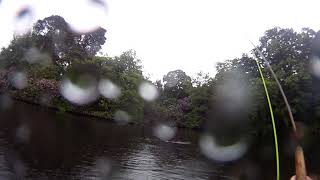 Rainbow On 66 Streamflex Rod From A Float Tube