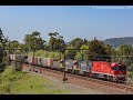 Train Sightings on the CCN - 4/10/19
