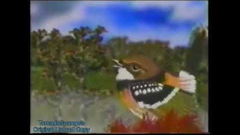 PBS Kids Program Break (2002 KNCT) #8 Incomplete