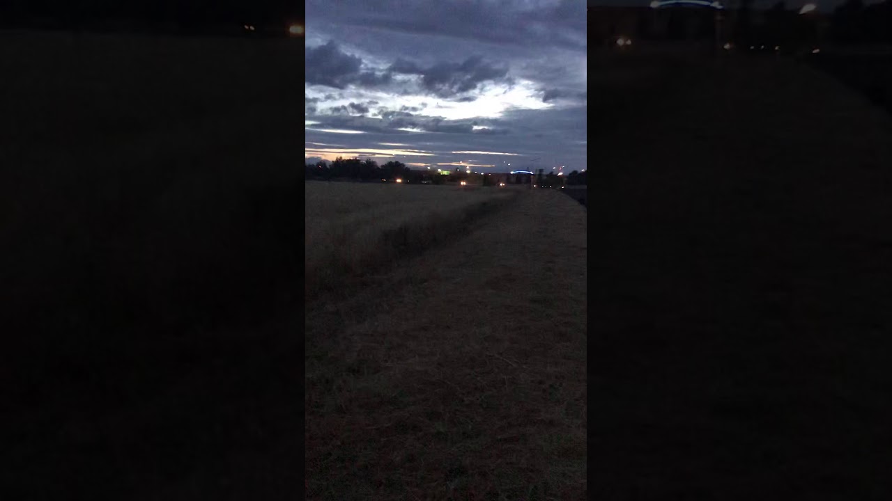 Found A Skunk ������ - YouTube