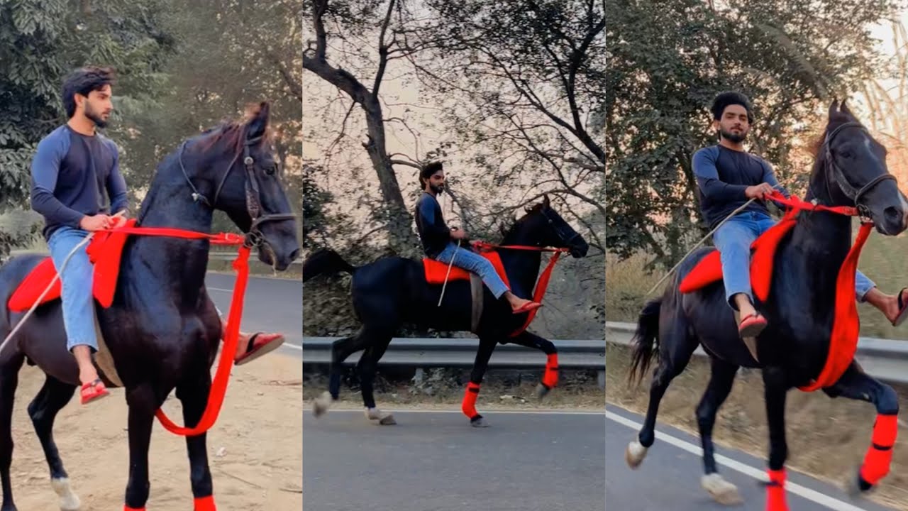 Riding ￼vlog | Rustum | kaifkazmi0110 |#youtube #youtubevideo#vlog 