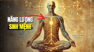 Không Ai Nói Cho Bạn Biết: Cách Kích Hoạt Năng Lượng Sinh Mệnh!