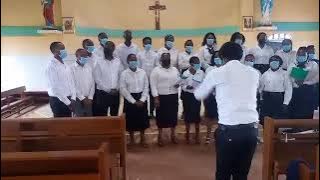 Ishara Kubwa Imeonekana Mbinguni | Dominika Ya 20 Mwaka B | Kupalizwa Mbinguni Kwa Bikira Maria