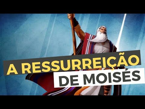 Vídeo