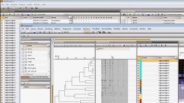 Initiate common or routine operations with only a few mouse clicks (BioNumerics 7.5 & 7.6)