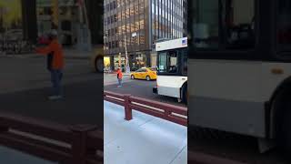 Man walks in front of bus because he doesn't have a ticket