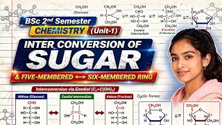 BSc 2nd semester chemistry short answer (unit -1) Inter conversion of sugar Imp topics💯🔥.@BeDKDian .