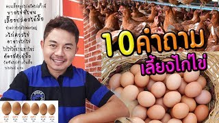 10 คำถามเรื่องไก่ไข่ ที่หลายคนอยากรู้ก่อนเลี้ยงไก่ 084-1751095 -โต๋ Pakdong Channel