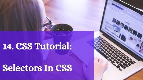 CSS Tutorial: Selectors In CSS | Web Development Tutorial #14