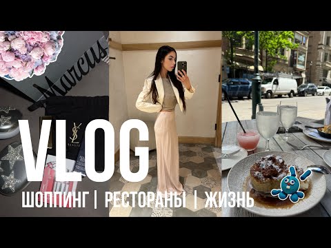 EVERYDAY VLOG //