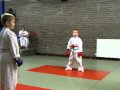 Ginja ninja jace karate