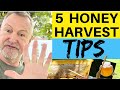 Beekeeping | 5 Tips For Harvesting Your Honey