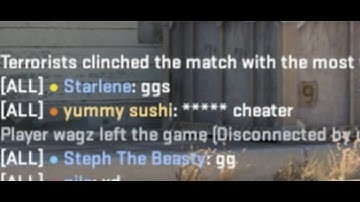 if you accuse me of hacking my ego goes up +50 points | CS2 Starlene