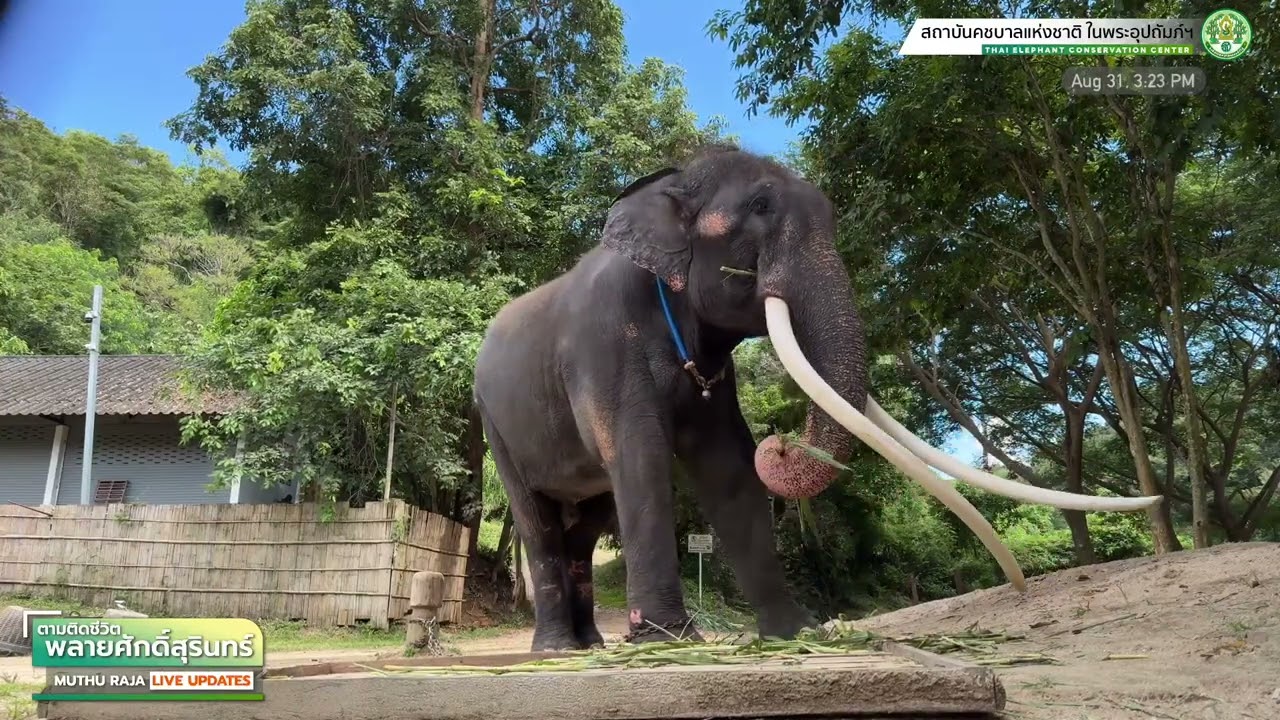 ตามติดชีวิต 