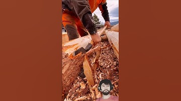 Easiest Way to Remove Tree Bark – Must Watch #woodworking #shortsfeed #shorts #youtubeshorts