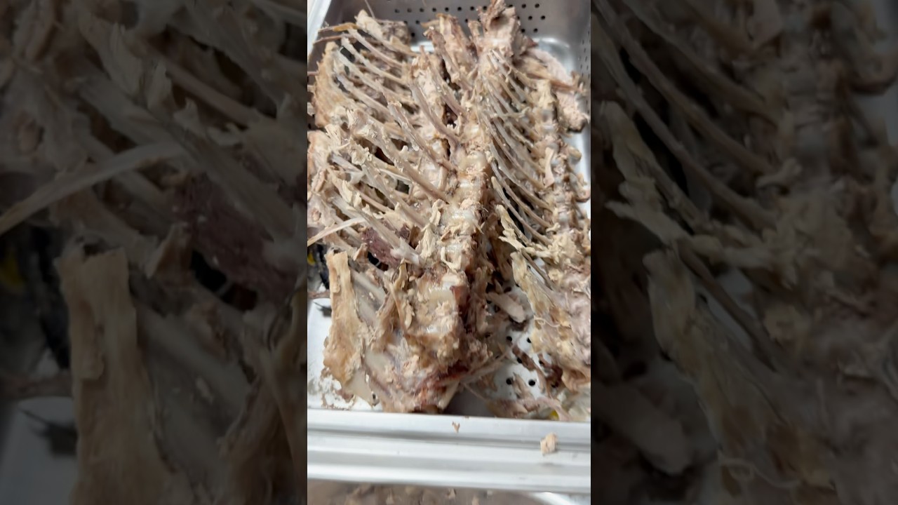 Tuna Tacos made using the ​⁠