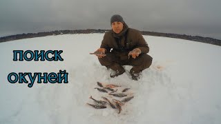 Поиск окуней на волге, трудовая рыбалка 08.01.2022