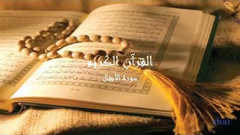 سورة الأنفال كاملة( تلاوة هادئة تنزل السكينة والطمأنينة) راحة نفسية لاتوصف🙄