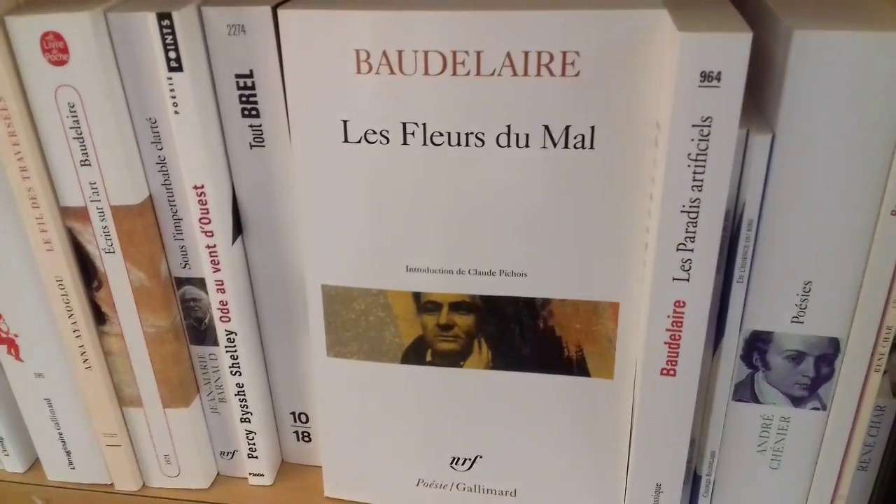 Lecture Cursive Les Fleurs Du Mal