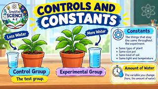 Controls & Constants made EZ