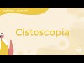 Cistoscopia: come si esegue e quando si fa?