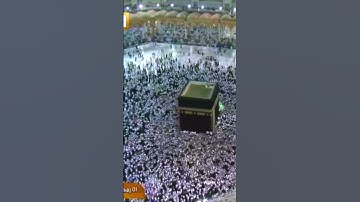 ختم سورة البقرة بصوت الشيخ -ياسر الدوسري-الآيات: من الآية 204 الى الآية 207