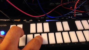 Laurentide SynthWorks 14 - Werkstatt Mod Walkthrough