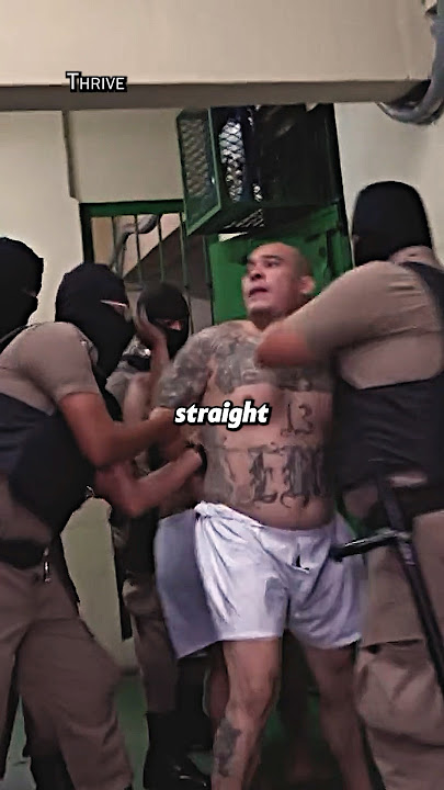 How Gangs Treats CHOMOS In Prison