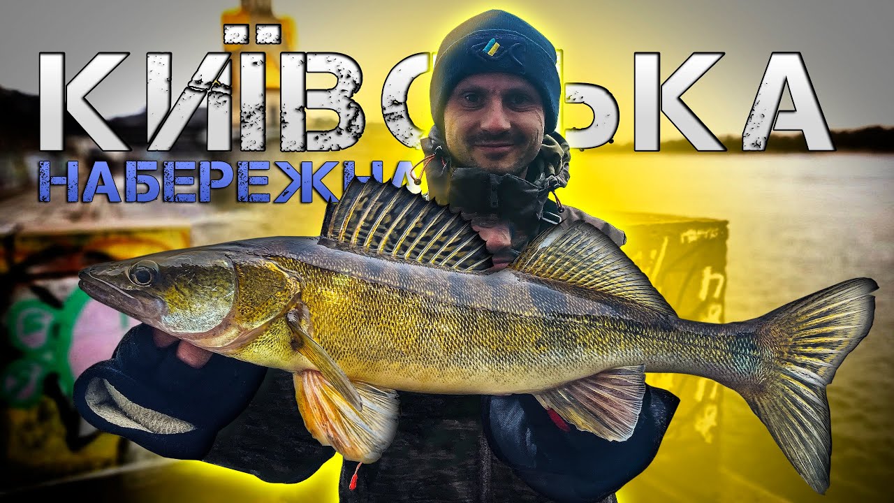 Судак на НАБЕРЕЖНІЙ! На таку РОЗДАЧУ я не розраховував! - YouTube