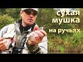 Сухая мушку на ручьях. Техника ловли нахлыстом и основные забросы. / dry fly fishing