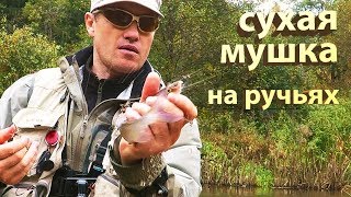 Сухая мушку на ручьях. Техника ловли нахлыстом и основные забросы. / dry fly fishing Сухая мушку на ручьях. Техника ловли нахлыстом и основные забросы. / dry fly fishing
