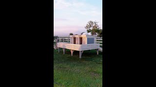 Building a Double Dog House, a slice of paradise for your four-legged friends #Shorts