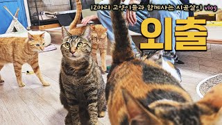 고양이들 집 잘 보라 하고 서울 다녀왔습니다. / 2024 조형 아트페어 오프닝 준비