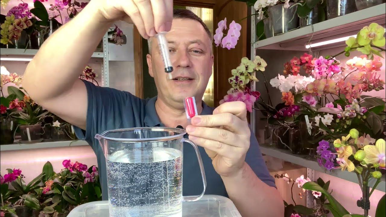 расстаюсь с орхидеями / опрыскивание цветущих орхидей БАТРАЙДЕРОМ ...