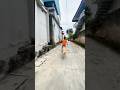 Thanh niên chơi nhầm mèo dại biến thành côn tiền đình #videoshort