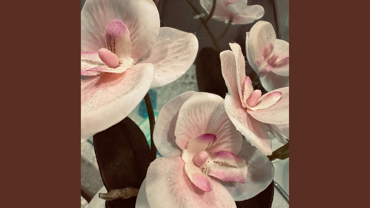 Love is Love, let's love