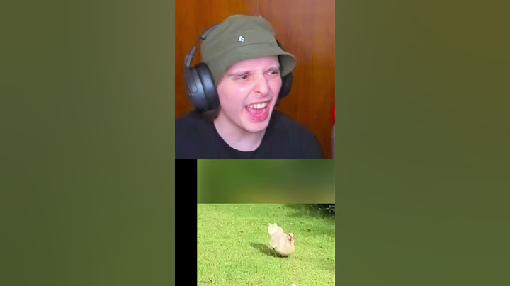 EL PATO MÁS LINDO DEL MUNDO😲🦆