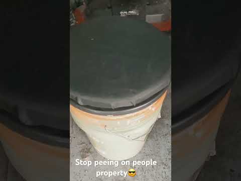 Is Peeing In Ur Front Yard Illegal