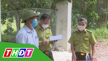 Hàng trăm cán bộ chuyên trách bảo vệ rừng xin nghỉ việc | THDT