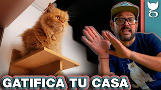 CÓMO VIVIR CON UN GATO EN UNA CASA PEQUEÑA  LA GATERÍA TV