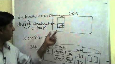 admin1_037_day8_kill_session_pid