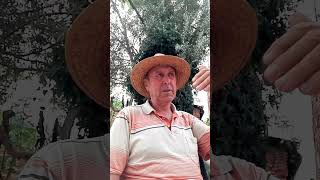 Türk Sözlüğü. Ferit Develioğlu. Ağustos. 1970.