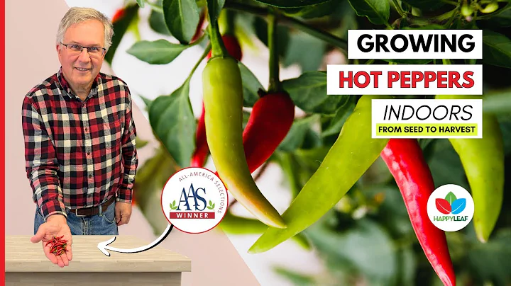 Grow Quickfire Hot Peppers Indoors with Grow Lights